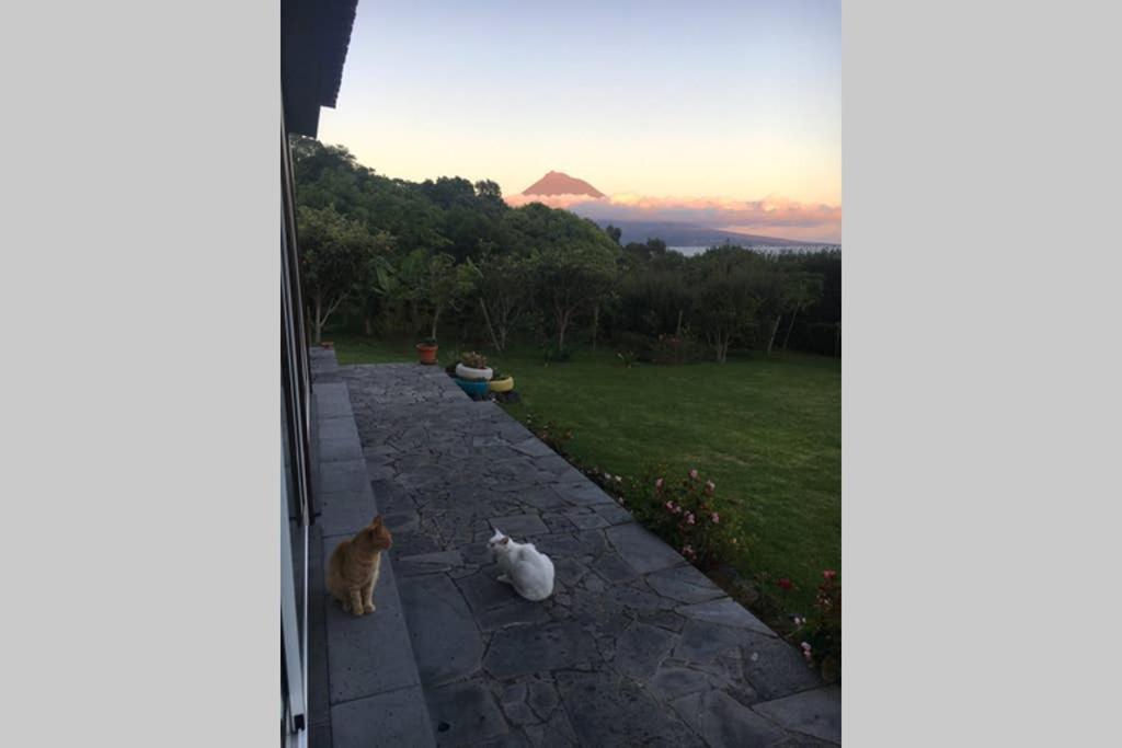 Summer House With Bbq And Garden Horta  Esterno foto