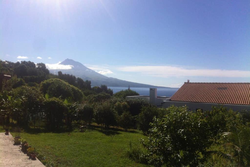 Summer House With Bbq And Garden Horta  Esterno foto