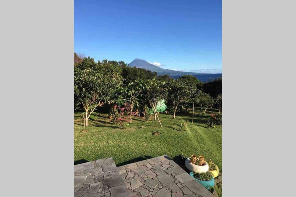 Summer House With Bbq And Garden Horta  Esterno foto